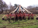 striptill 02