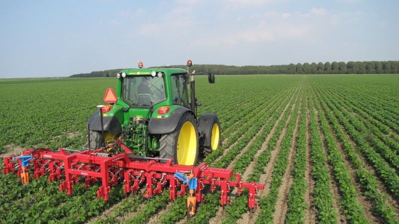 Plečkování pomocí autoplitoru traktoru a GPS - kw automatizace v zemědělství