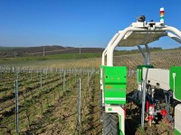 Polní robot Naïo TED je určen pro práce na vinicích