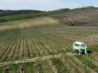 Polní robot Naïo TED je určen pro práce na vinicích